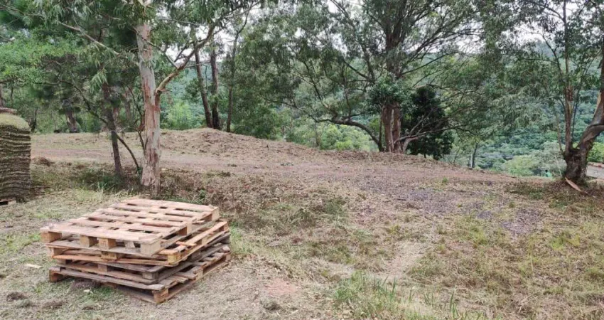 Terreno em condomínio fechado à venda na Avenida Liberdade, 4000, Santa Isabel, Viamão