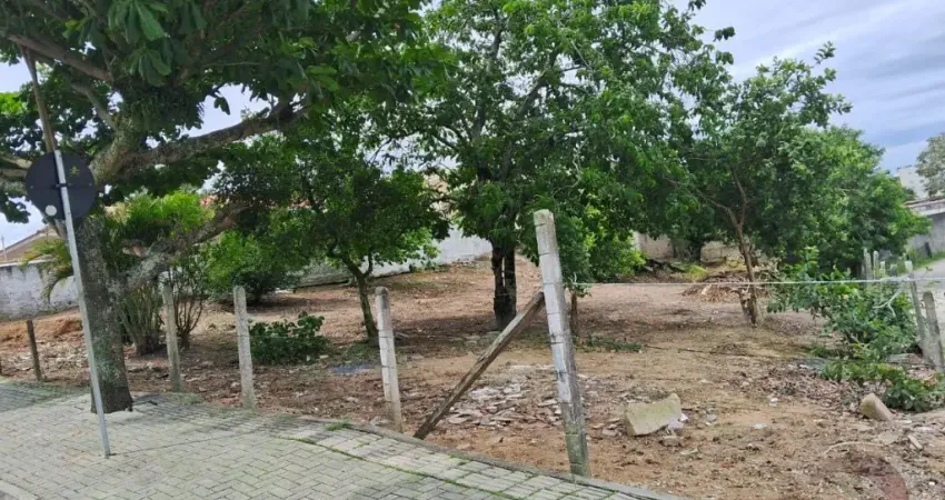 Terreno à venda na Rua João de Barro, 5, Serraria, São José