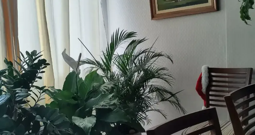 Apartamento com 3 quartos à venda na Rua dos Pintassilgos, 345, Imbuí, Salvador