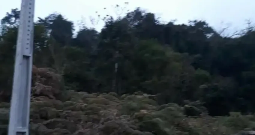 Terreno à venda no Santa Maria, Benedito Novo 