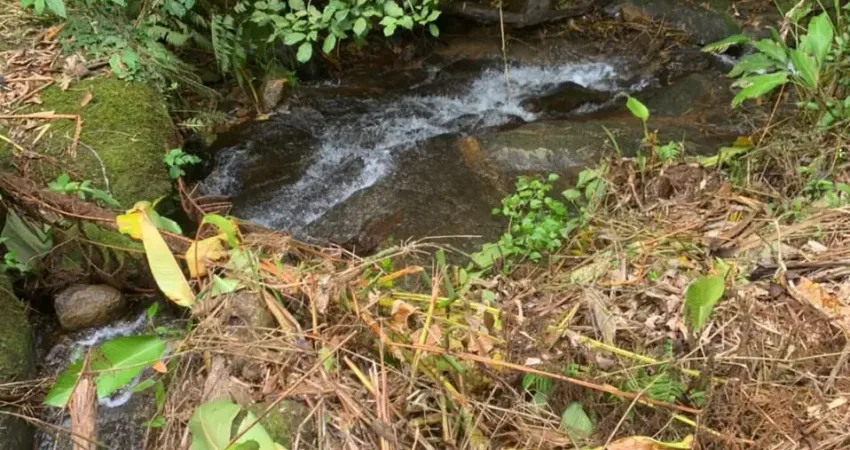 Chácara / sítio à venda na Zona Rural, Rio dos Cedros 
