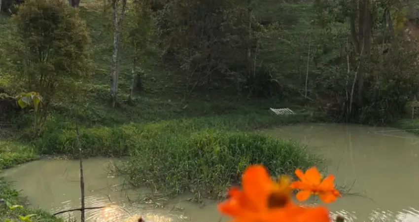 Chácara / sítio com 3 quartos à venda na Rua Celso Ramos, Barra São João, Benedito Novo