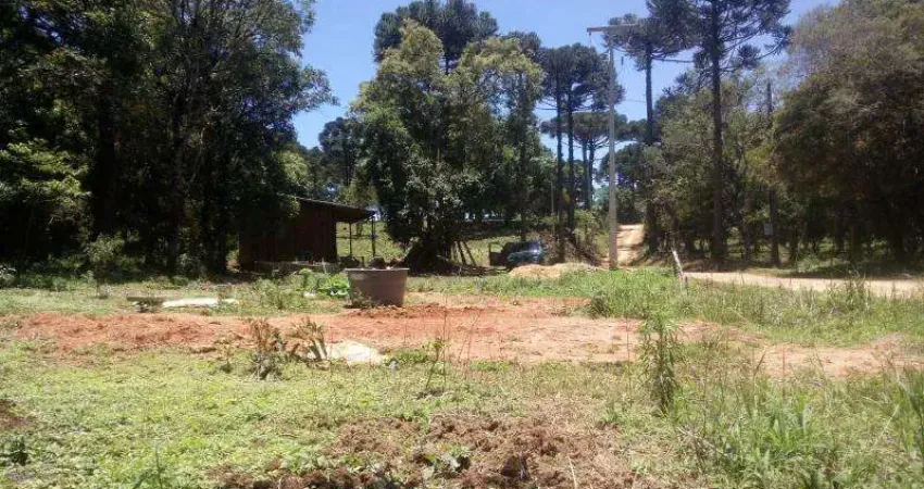 Chácara / sítio à venda no Cardoso, Contenda 