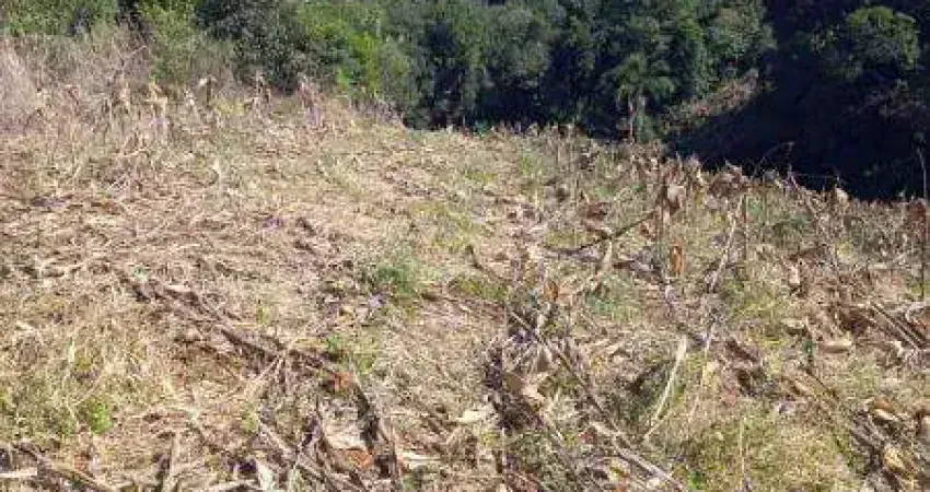 Chácara / sítio com 3 quartos à venda na Zona Rural, Contenda 