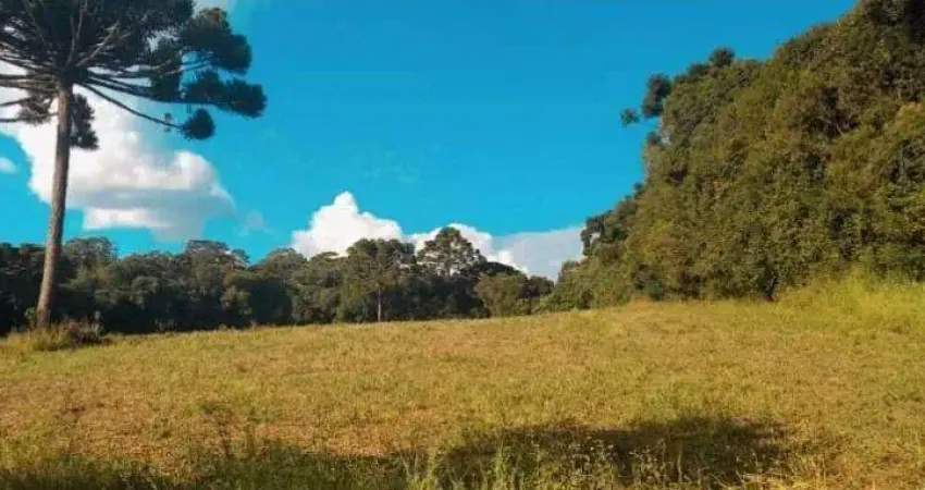 Chacara...um pedacinho de tranquilidade para chamar de seu
