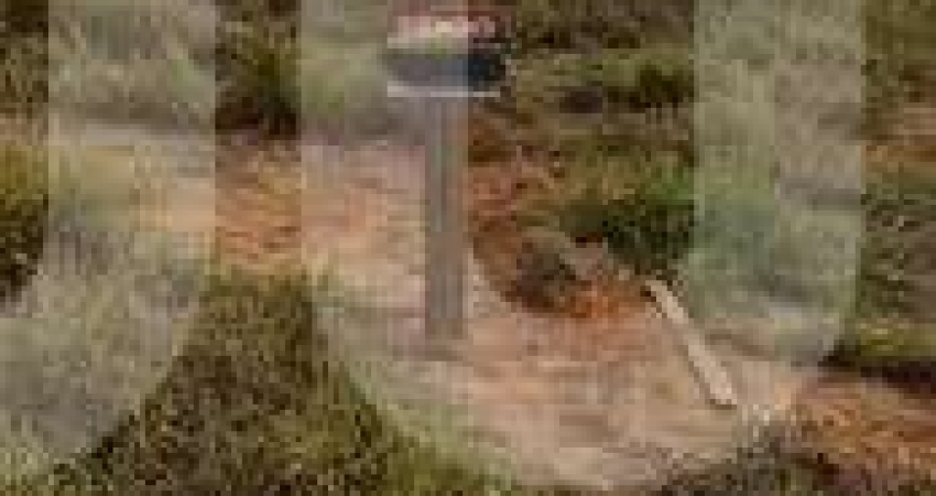Terreno à venda na Rua Irmã Maria Angélica, 1, Parque Campo Bonito, Indaiatuba