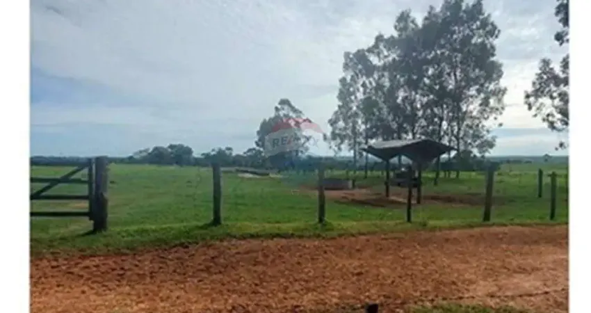 Fazenda com 131 alqueires à Venda na Região de Araçatuba/SP - Pecuária