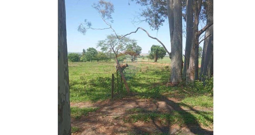 Fazenda de 159 alqueires à venda na Região de Valentim Gentil/SP - Cana