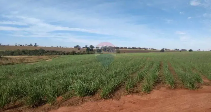 Fazenda com 94 Alqueires à venda na Região de Pereira Barreto/SP - Cana