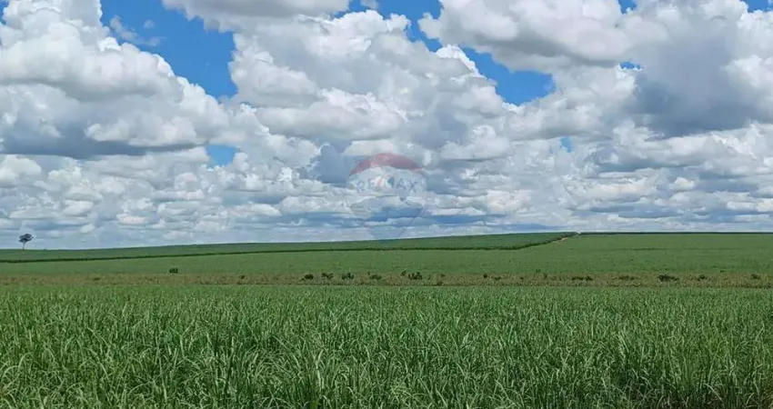 Fazenda à Venda 274 Alqueires - Região de Auriflama/SP - Cana