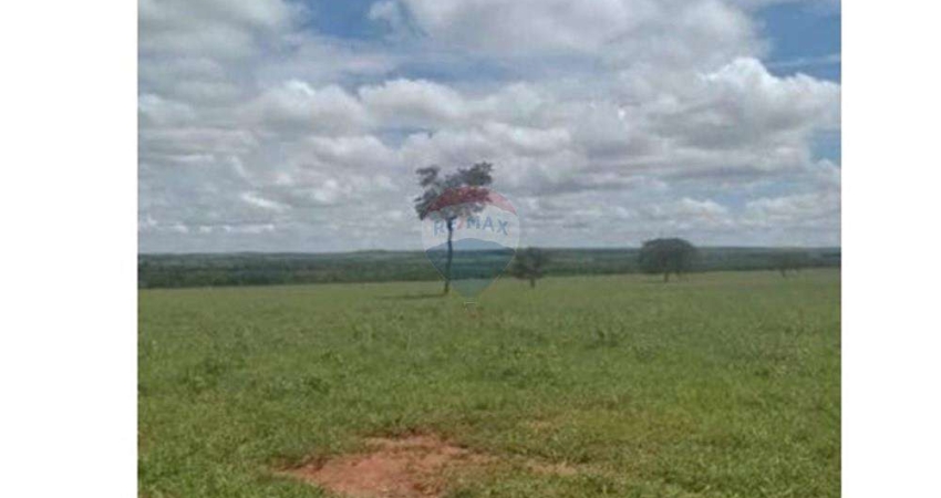 Fazenda de 84 Alqueires - Lavoura - Região de Junqueirópolis/SP à Venda