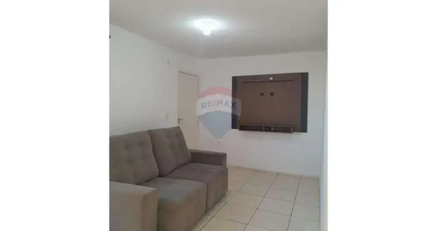 Apartamento com 2 quartos para alugar na Avenida Umuarama, 2020, Umuarama, Araçatuba