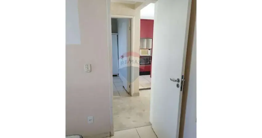 Apartamento com 2 quartos para alugar na Rua Pedro Janser, 1049, Monte Carlo, Araçatuba