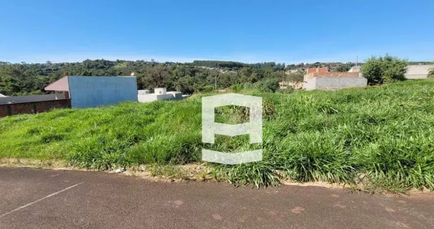 Terreno à venda, 300 m² por R$ 85.000,00 - Jardim Primavera - Apucarana/PR