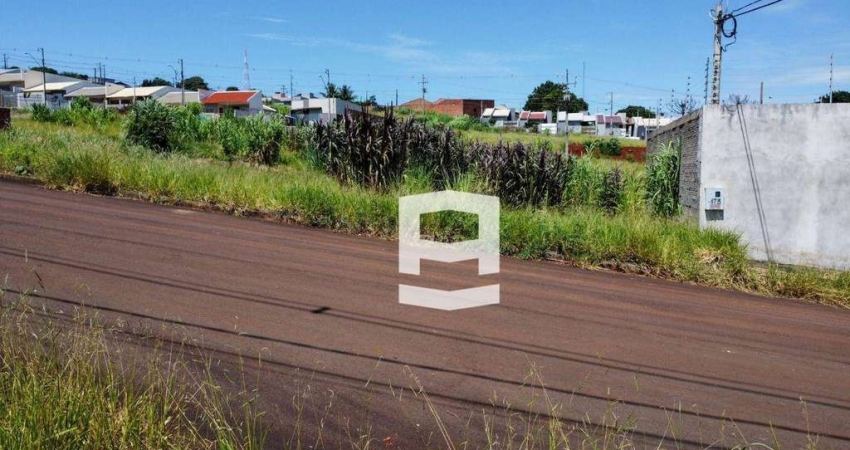 Terreno à venda, 300 m² por R$ 69.900,00 - Jardim Licce - Apucarana/PR
