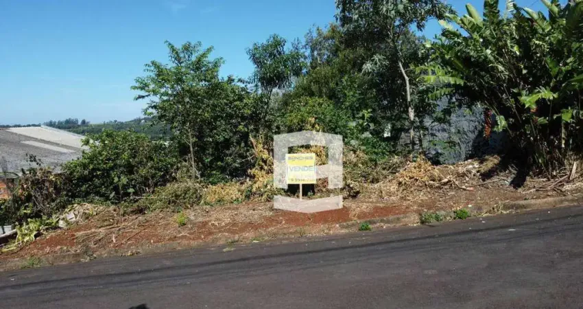 Terreno à venda, 378 m² por R$ 105.000,00 - Jardim Morada do Sol - Apucarana/PR