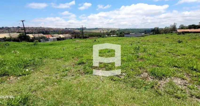 Terreno à venda, 3000 m² por r$ 480.000,00 - recanto mundo novo - apucarana/pr
