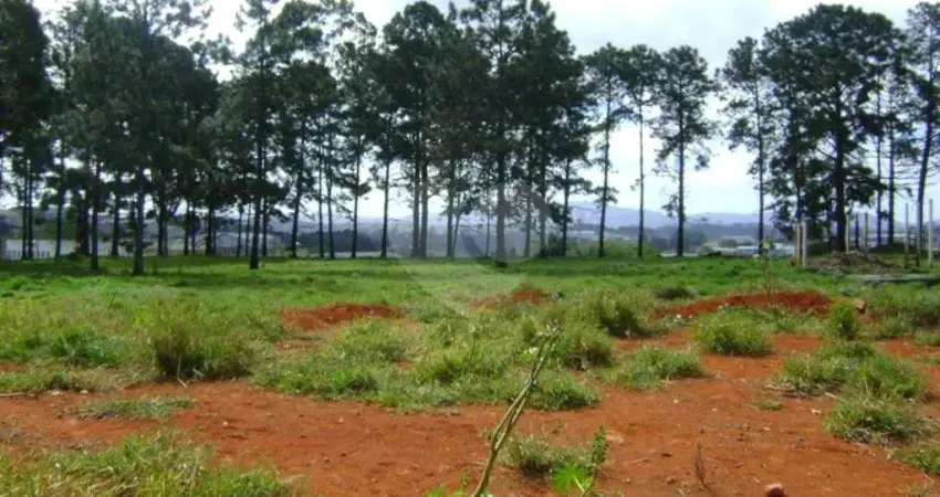Terreno à venda na Estrada de São Bento, 1300, Pinheirinho, Itaquaquecetuba