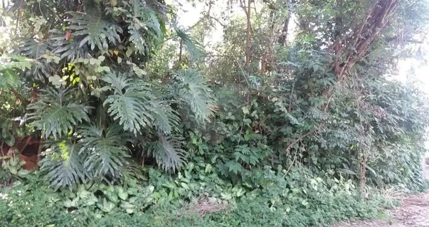 Terreno à venda na Rua Capitão Luís Rodrigues de Albuquerque, 98, Vila Irmãos Arnoni, São Paulo
