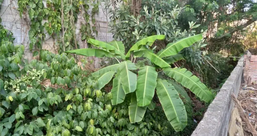 Terreno à venda na Rua Conchilia, 390, Vila Albertina, São Paulo