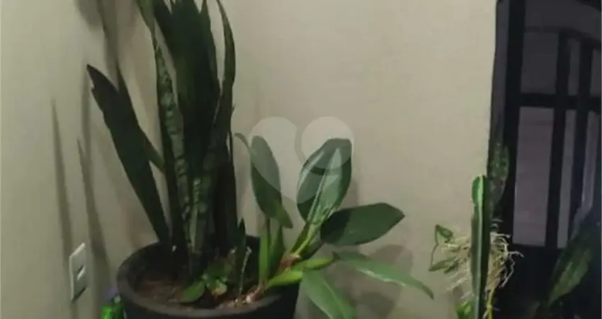 Apartamento com 3 quartos à venda na Rua das Giestas, 63, Vila Bela, São Paulo