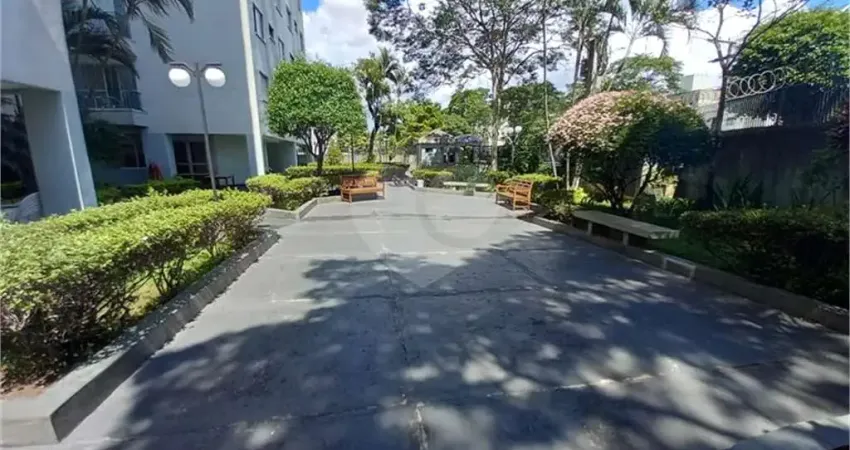 Apartamento com 2 quartos à venda na Rua Pedro Brasil Bandecchi, 181, Vila Amélia, São Paulo