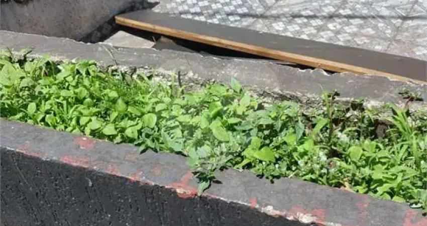 Apartamento à venda na Avenida Presidente Juscelino Kubitschek, 189, Vila Nova Conceição, São Paulo