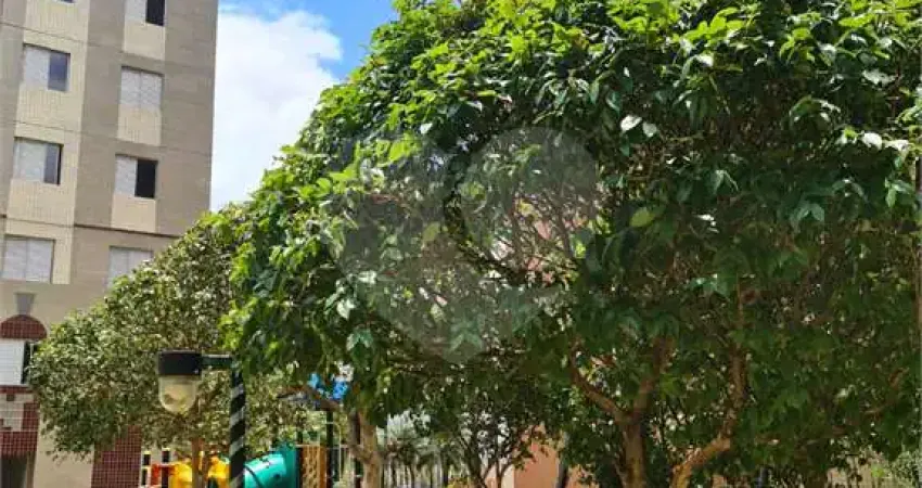 Apartamento com 3 quartos à venda na Rua Alexandre Levi, 150, Cambuci, São Paulo