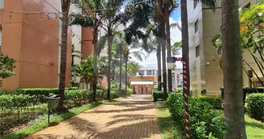 Apartamento com 3 quartos à venda na Rua Alexandre Levi, 150, Cambuci, São Paulo