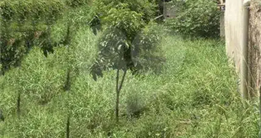 Terreno à venda na Rua Dom Bento Pickel, 418, Casa Verde, São Paulo