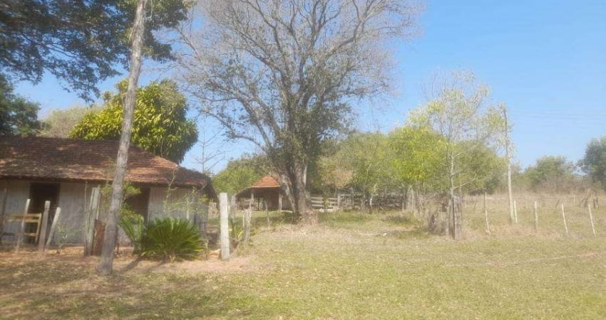 SÍTIO A VENDA REGIÃO DE BAURU/ SP 06 Alqueires Propriedade rica