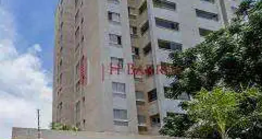Apartamento com 3 Quartos à venda, 80m² - Parque Santa Cecilia
