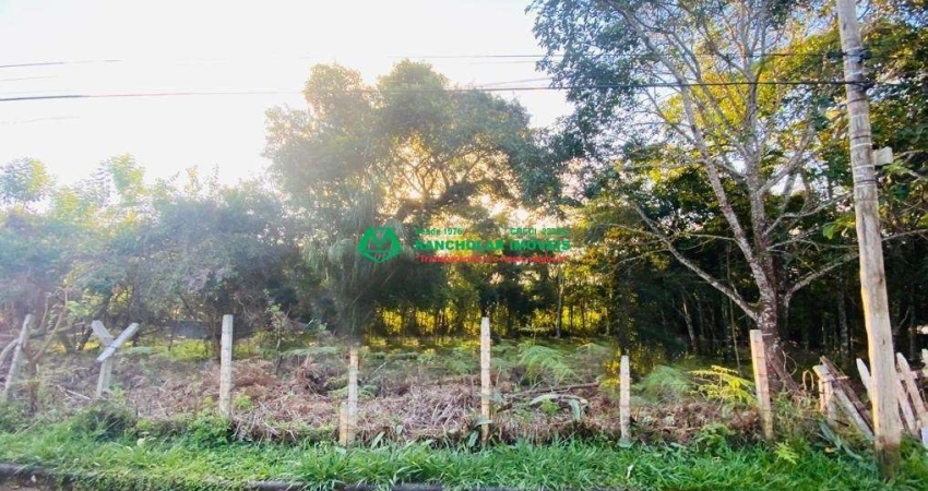 Terreno à venda na Estrada das Palmeiras, Chácara Rincão, Cotia