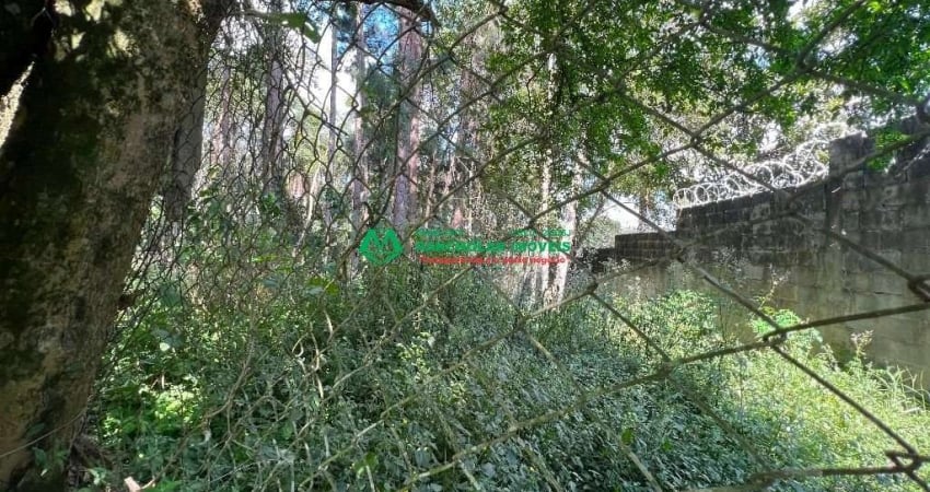 Terreno para venda em Jardim Dos Pereiras (caucaia Do Alto) de 7150.00m²