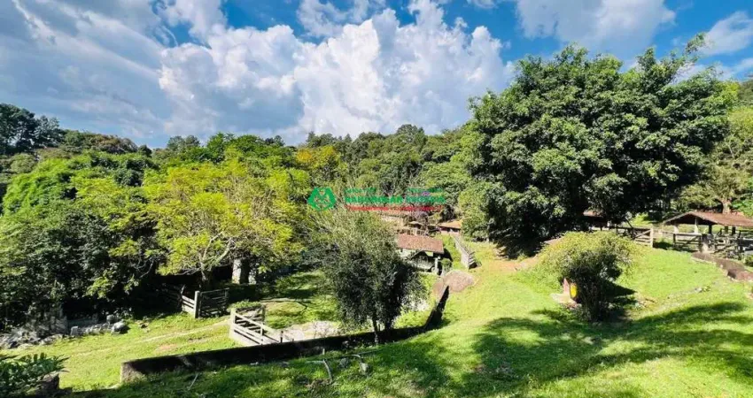 Fazenda / Sítio para venda em Jardim Rosa Azul (caucaia Do Alto) de 50000.00m² com 3 Quartos e 3 Suites