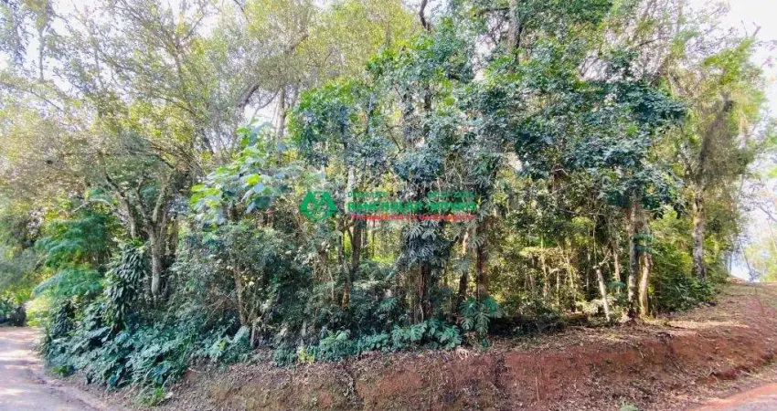 Terreno à venda na Inglaterra, 96, Jardim Santa Paula, Cotia