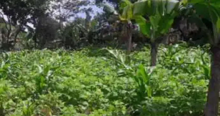Chácara / sítio com 1 quarto à venda no Tatetos, São Bernardo do Campo 