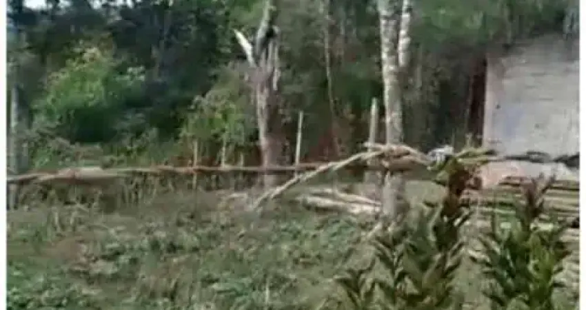Chácara / sítio à venda no Tatetos, São Bernardo do Campo 