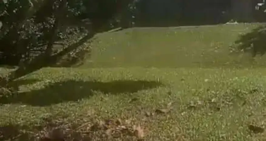 Chácara / sítio com 2 quartos à venda no Dos Finco, São Bernardo do Campo 