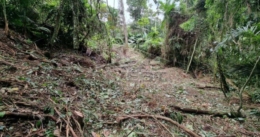 OPORTUNIDADE - Ubatuba, Praia do Félix, Terreno de 1.000m2, com licenciamento e projeto com 200m² aprovados