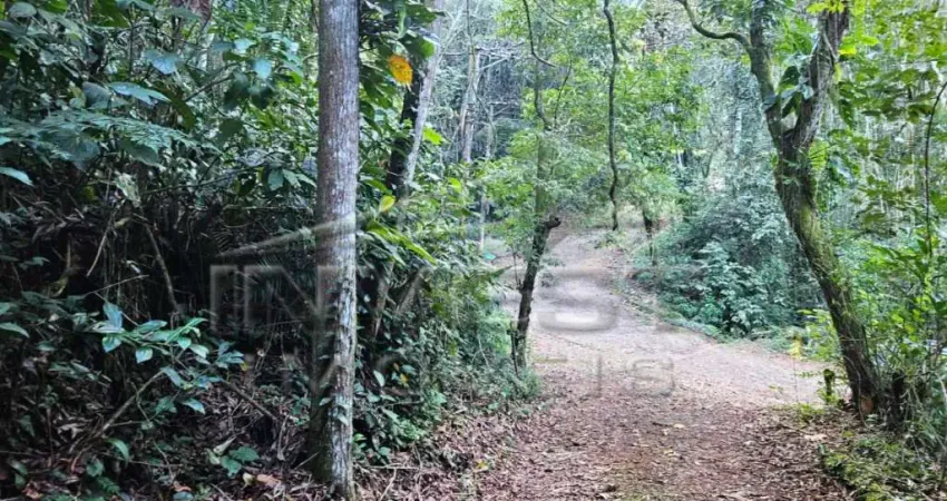 Ubatuba, Praia do Felix - Lote em fase de licenciamento Ambiental com 900m2