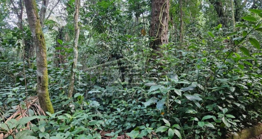 Ubatuba, Praia do Felix - Lote em fase de licenciamento ambiental, lote de 1000m2, com proposta de libração de 30%
