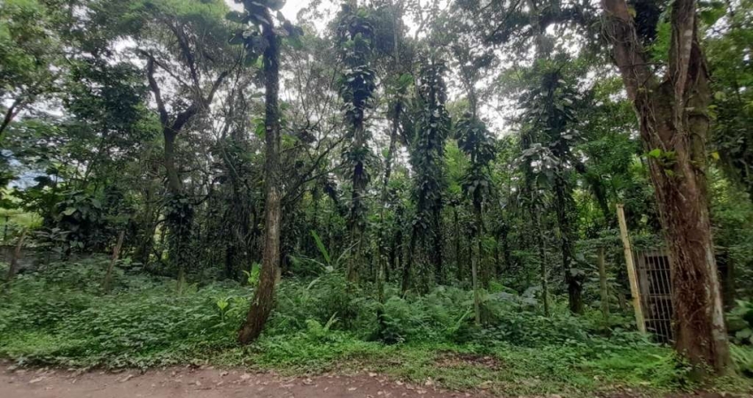 Ubatuba, Horto área de terreno 1.250 m² com vista de frente rodovia