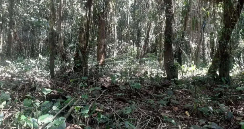 Ubatuba, horto florestal, terreno 1.790 m², oportunidade, próximo da rodovia