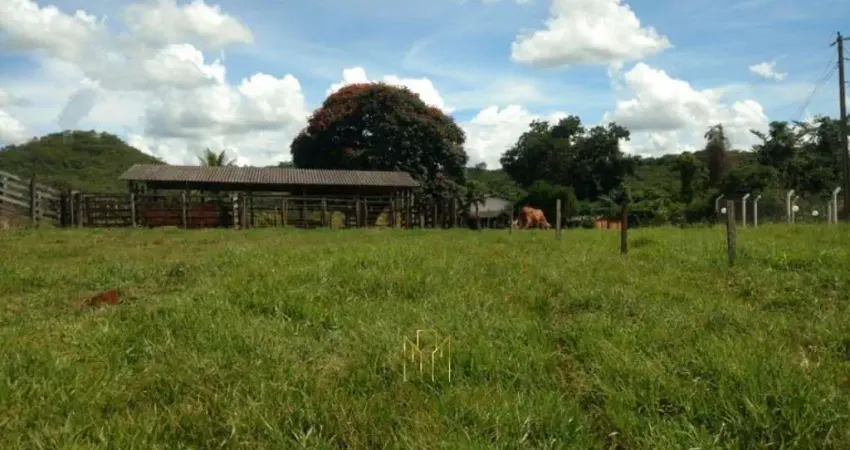 Fazenda de 9,90 alqueires à venda em Uberlândia-MG na Área Rural: oportunidade imperdível!