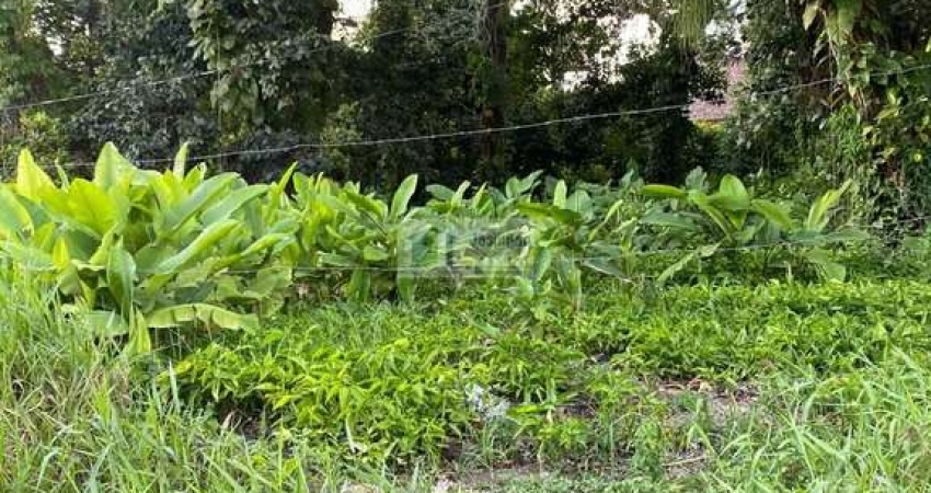 Lote 22,23 24,e,25 da quadra 30 de esquina com av araça