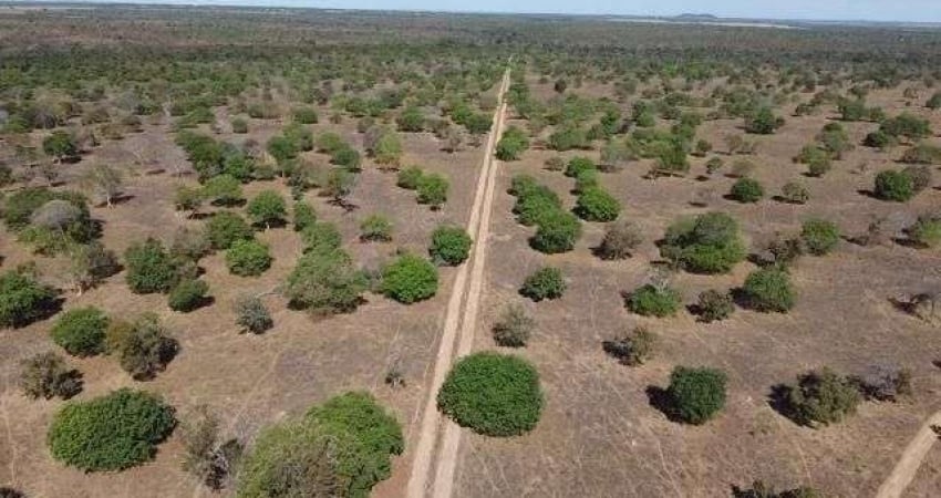 Fazenda à venda, 72600000 m² por R$ 225.000.000,00 - Zona Rural - Porto Nacional/TO
