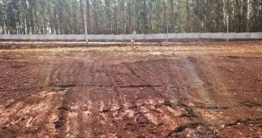 Terreno à venda, 250 m² por R$ 243.000,00 - Recreio Anhangüera - Ribeirão Preto/SP
