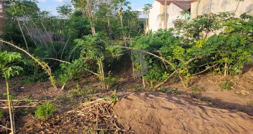 Terreno à venda no Bosque, Campinas 