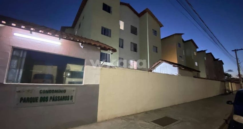 Apartamento em Jardim Limoeiro  -  Serra